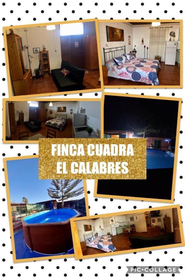 La Cuadra Finca El Calabres Agüimes Exterior foto